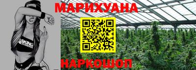 apvp Можга