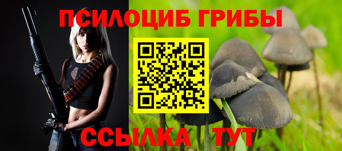 Ханты-Мансийск  Псилоцибиновые грибы GOLDEN TEACHER  Вход с VPN 